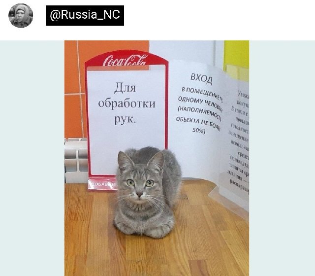 Немного картинок для настроения - 131