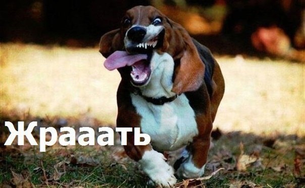 Картинки и мемы, всем хороших выходных
