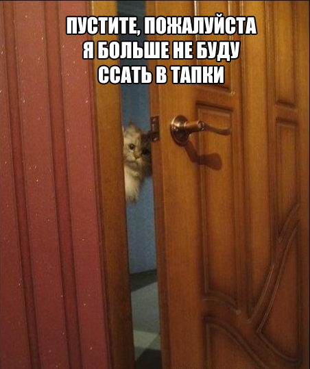 Забавные шутки и картинки из этих ваших интернетов