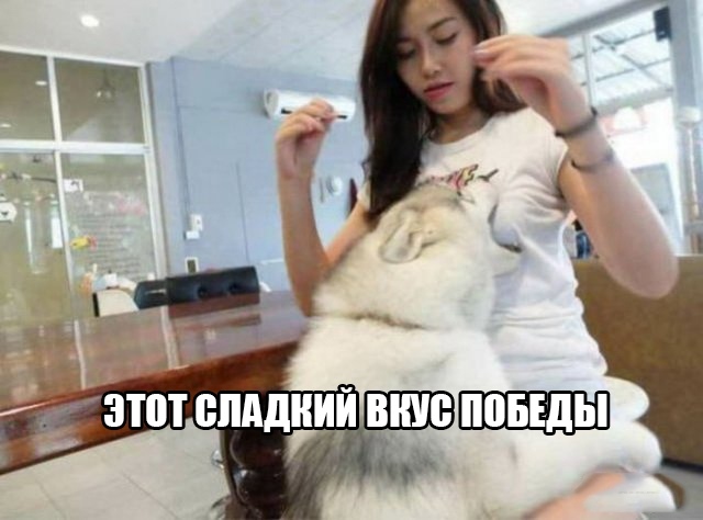 Картинки и мемы, всяко разно - 179