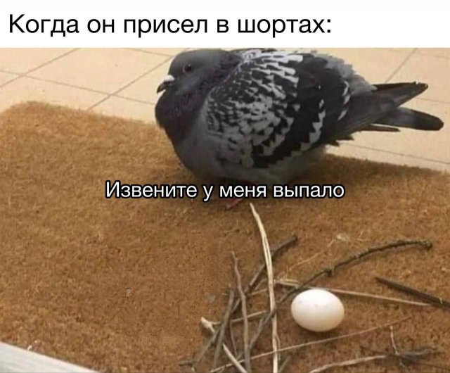 Картинки и мемы, всяко разно - 183