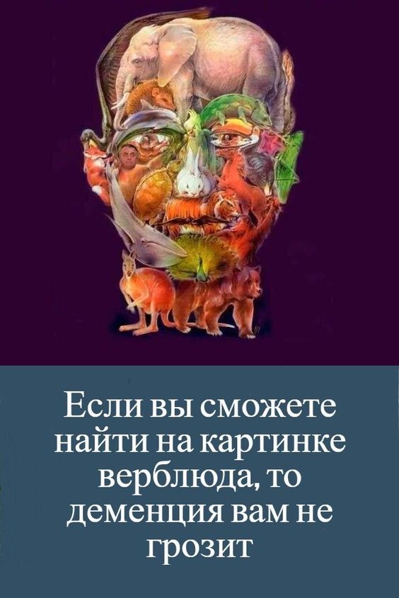 Прикольные и просто красивые картинки 22.09.2023