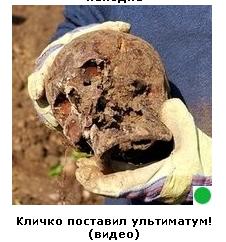 Автодемотиватор на ЯПе