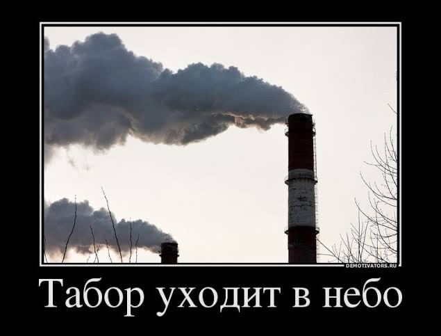 Цыгане