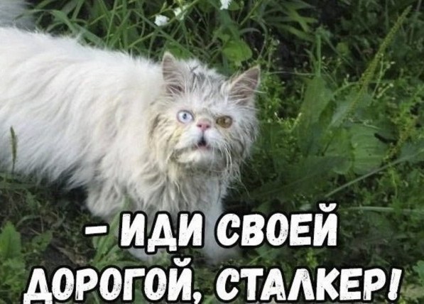 Энергобарбос⁠⁠