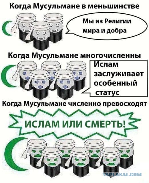 Выполняю обещание. Каждый раз когда мирные ливанцы из Хезболы обстреляют Израиль - буду создавать тему