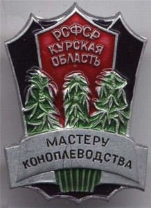 Зачем Россию собираются засадить "революционным" растением – мискантусом
