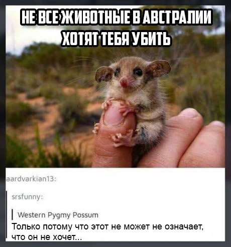 Это Австралия, детка