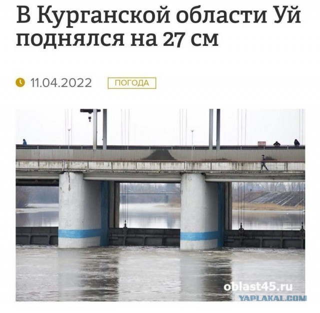 Немного пошлых картинок 16+ 25.12.24