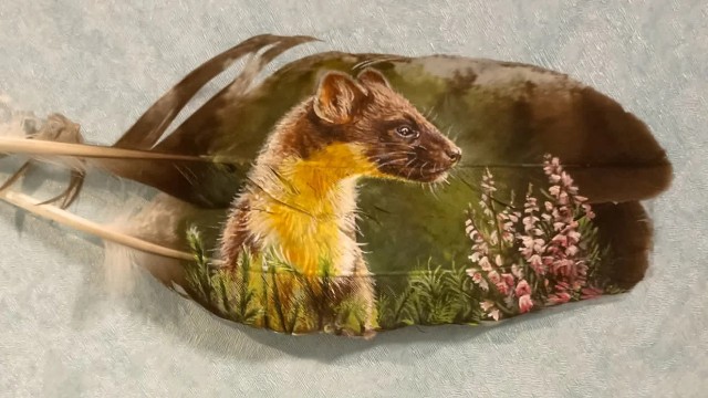 Весёлые картинки