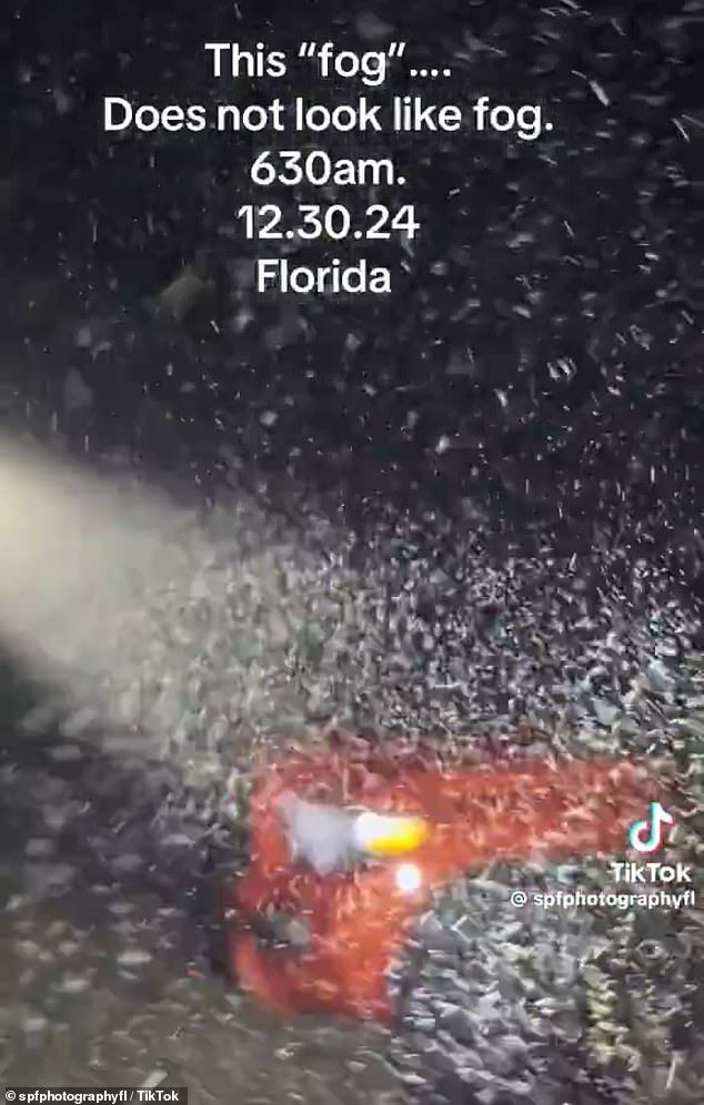 Ненависть к богатым полыхает в Лос-Анджелесе не слабее пожаров