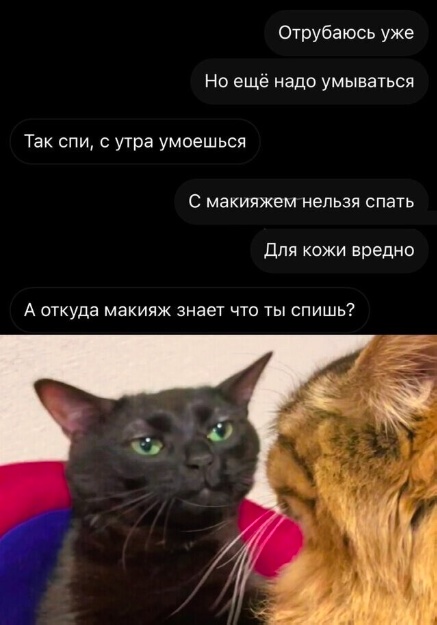 Так себе картинки 15.01.25