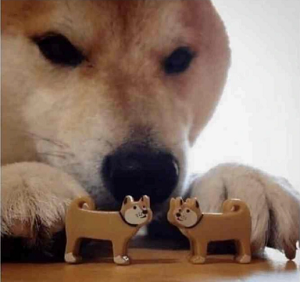 В РФ призвали обязать застройщиков делать толстые стены, чтобы россияне не стеснялись заниматься сексом