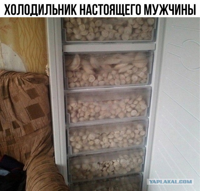 Веселое настроение в картинках (28.09.2025)