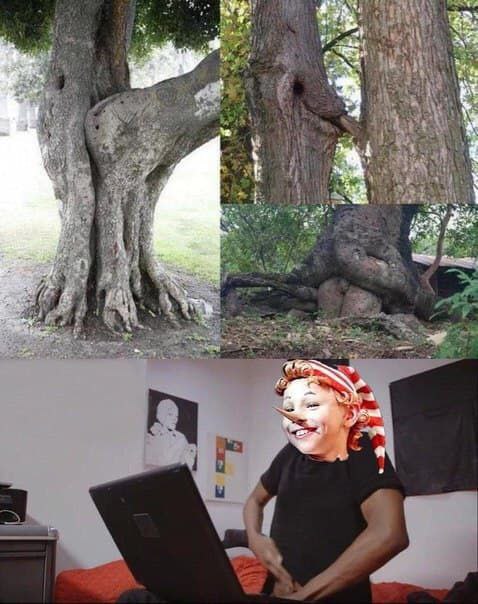 Пошлый и взрослый юмор
