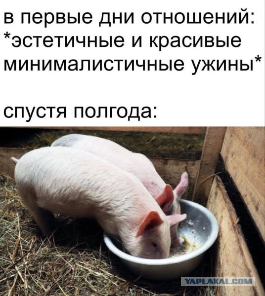 Картиночки, баянчики..