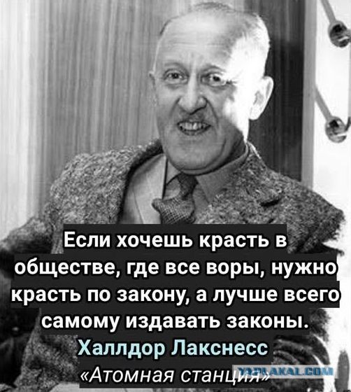 3000 гектаров векового леса под корень вырубают в Борском районе под видом земель сельхозназначения