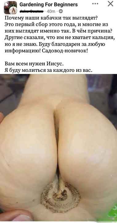 Предновогодние бояны