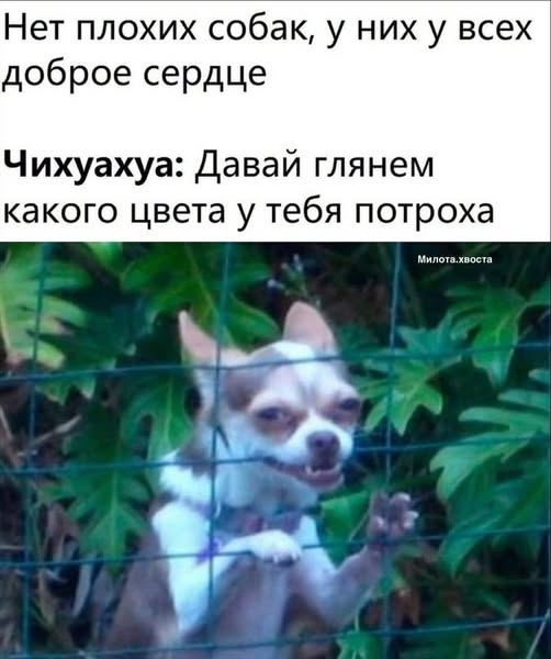 Ужас и Адъ