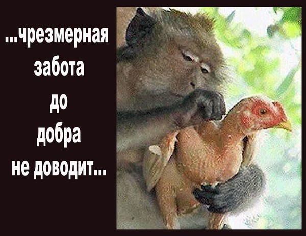Кремль объяснил, почему начались отключения связи