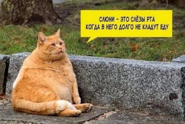Картинки для деградации 165 (разной степени свежести)