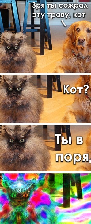 - Привезите мне батенька дичи всякой, и цветочек аленький!