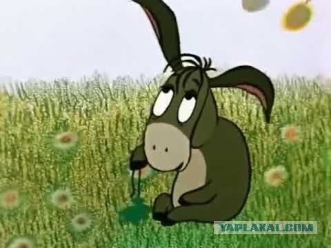 Нидерландочка