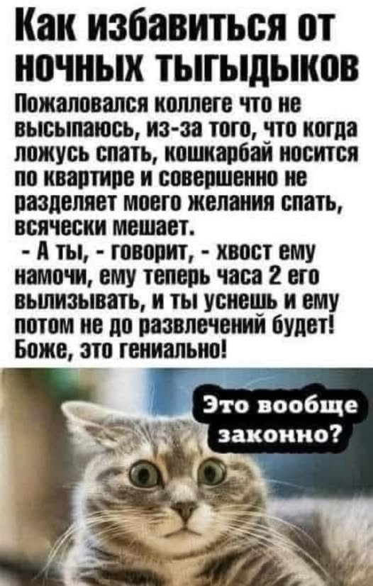Картиночки, баянчики 17 июня