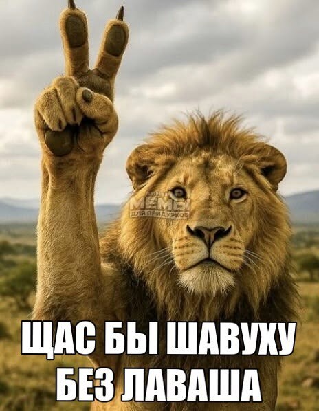 Отсутствие мозга, как составляющая счастья