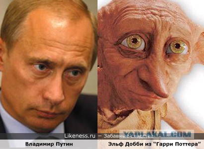 На Крещатике нашли собаку похожую на Путина