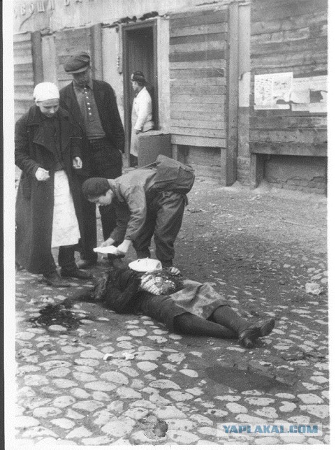 Дорога жизни...