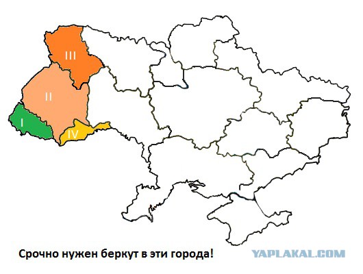 Толпа захватила Львовскую администрацию