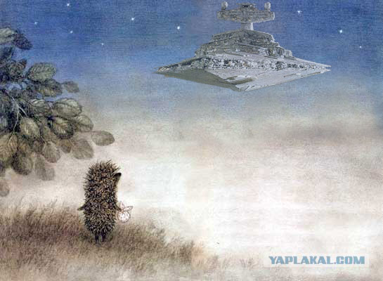 Йожик и майдан.
