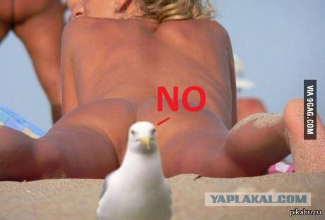 Мадам, булки пора вынимать... подгорать начинают!