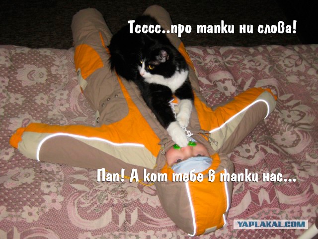 Кошка и котё... ребёнок