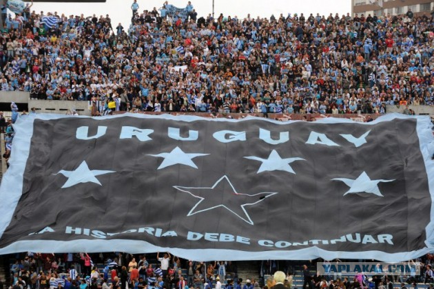 Чемпионат Мира 2014 Бразилия