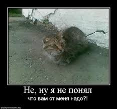 Чёрт, чёрт, чёрт!