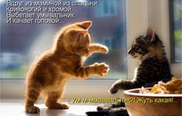 Подборка смешных картинок :)