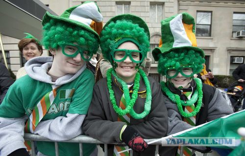 Плюсомет со шпалометом