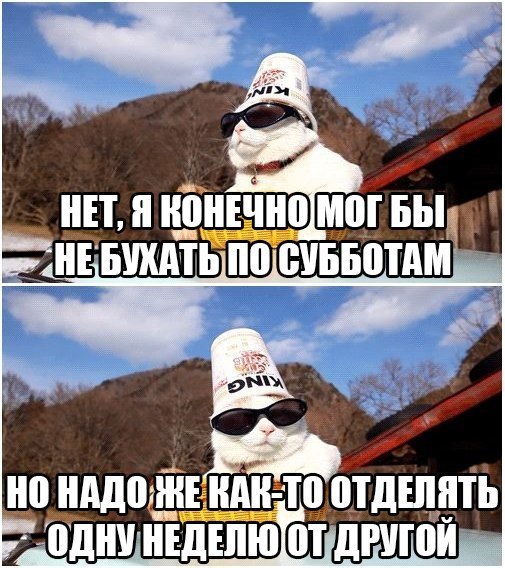 Свежие картинки из сети