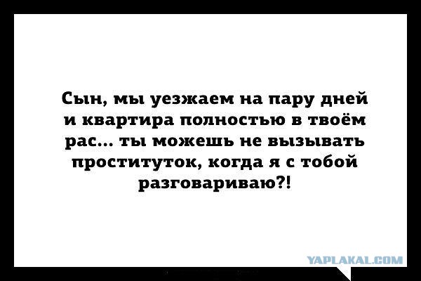 Комментарии из соцсетей на воскресенье