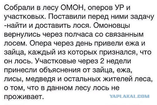Немного юмора