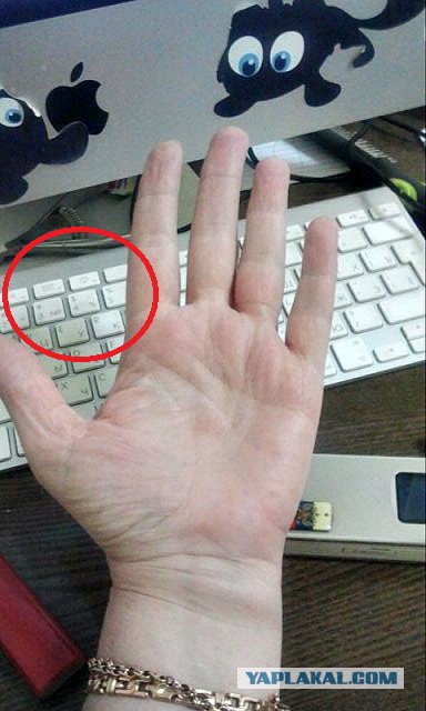 Исследую Хиромантию