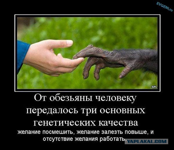 Вся суть Обамы