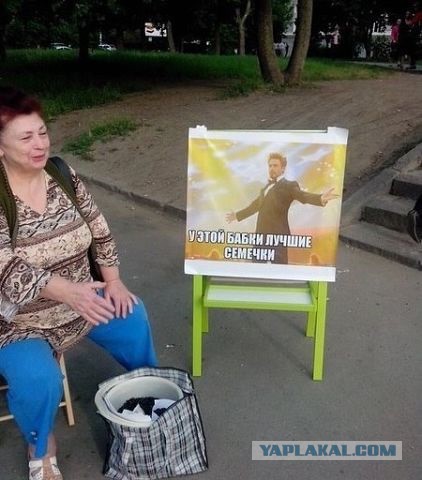 Приколы из соцсетей