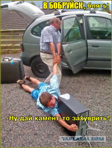 Бобра много не бывает
