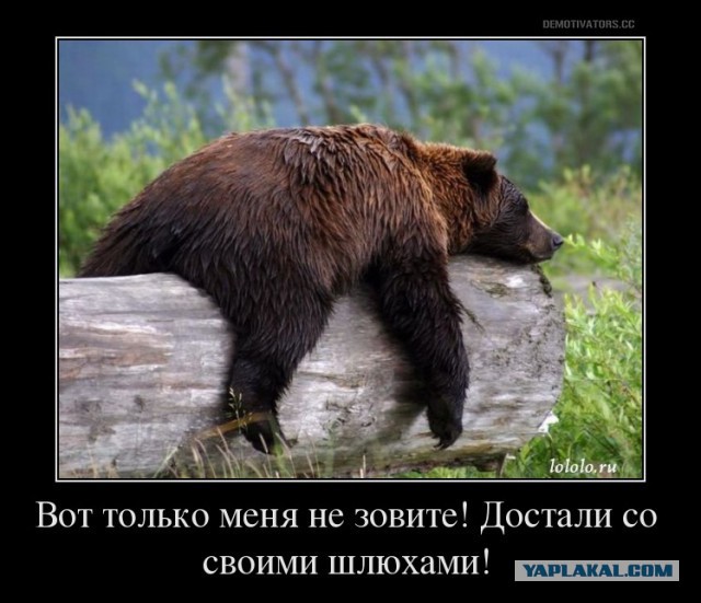 А хватало ли секса, действительно...