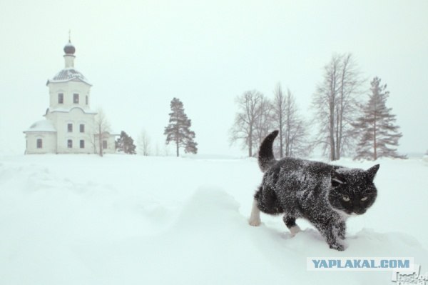 Фотопроект Best of Russia 2012