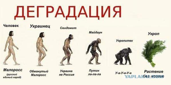 9 вопиющих отличий России от Украины!