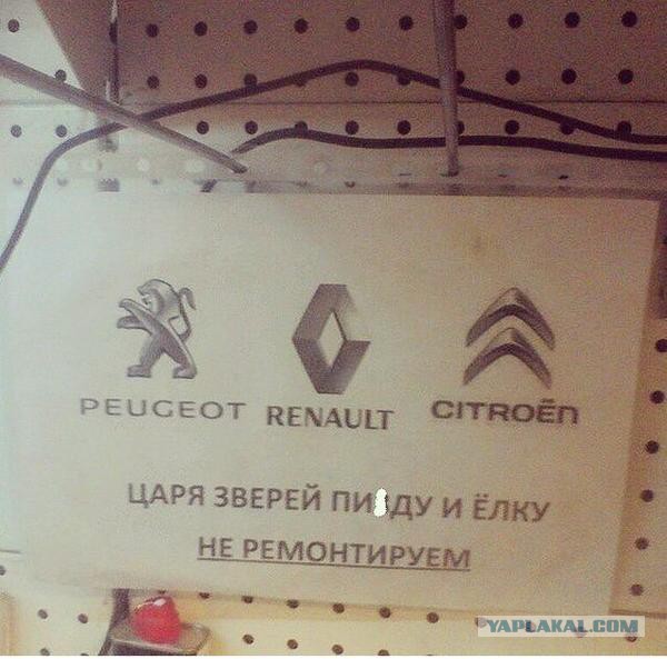 Крик души.